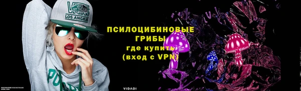 винт Медвежьегорск