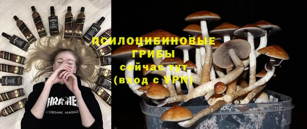 прущие крисы Абинск