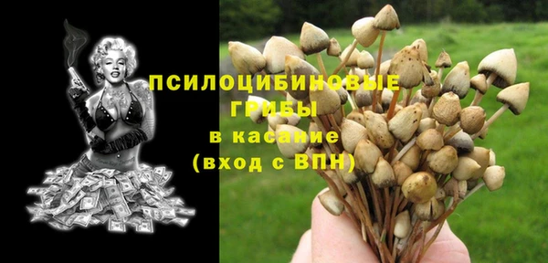 прущие крисы Абинск