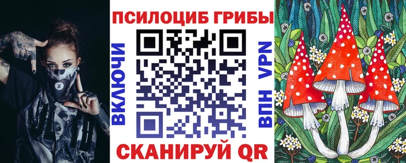 Псилоцибиновые грибы Magic Shrooms  что такое   Циолковский 
